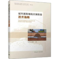 音像城市道路塌陷灾害防控技术指南安关峰 胡群芳