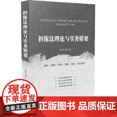 2019年新 担保法理论与实务精要 付颖哲 陈凯著 保证 抵押 质押 留置 定金 独立保函 法律实务 案例 中国法制出版