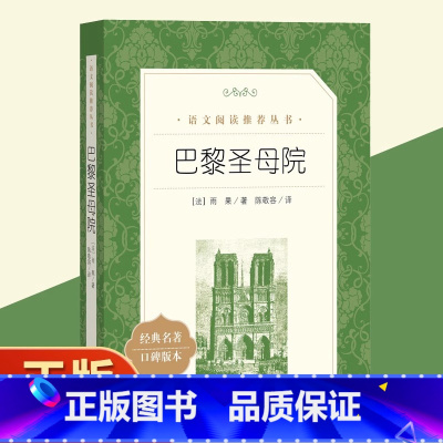 巴黎圣母院 [正版]书店巴黎圣母院 经典名著口碑版本语文阅读丛书 中小学生课外阅读书目 外国文学名著读物 人民文学出版社