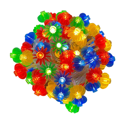 锦瑞星新年装饰彩灯红灯笼灯串彩色插电款10m/个