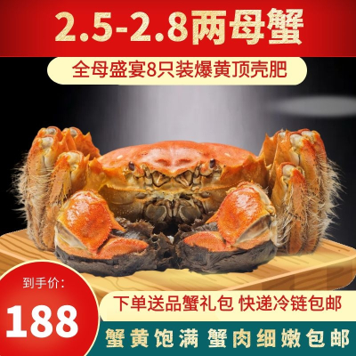 餐中王清水大闸蟹鲜活大螃蟹2.5-2.9两8只全母大闸蟹鲜活螃蟹苏州阳澄湖镇发货