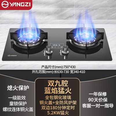 扬子燃煤气灶炉双灶家用天然气液化气猛火灶台式嵌入式 钢化玻璃加厚5.2kW双九腔_天然气