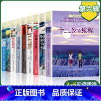 [全套9册]长青藤国际大奖小说 第六辑 [正版]十二岁的旅程 长青藤大奖小说书系 书籍青少年中小学生课外书阅读 四五六年