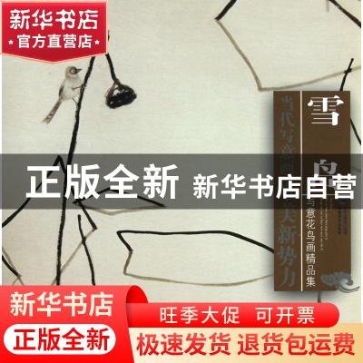 正版 雪岛写意花鸟画精品集/当代写意画唯美新势力 绘画:雪岛 福