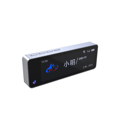 顶火 GMD-P2 4G工牌记录仪 64G