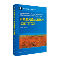 音像重金属污染土壤修复理论与实践不详