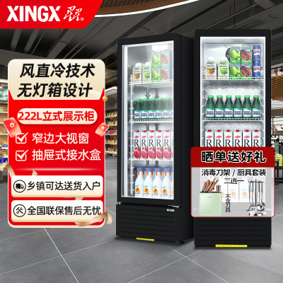 星星(XINGX) LSC-230FYPE 222升 立式冷藏展示柜 风直冷 1级能效 饮料柜 商用 双层玻璃更锁冷