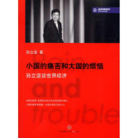 正版新书]小国的痛苦和大国的烦恼-孙立坚谈世界经济孙立坚9787