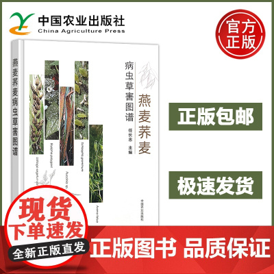 燕麦荞麦病虫草害图谱 任长忠 棉花病虫害识别与绿色防控技术指南 燕麦荞麦生产中常见的病虫草害种类、发生规律、危害症状 农