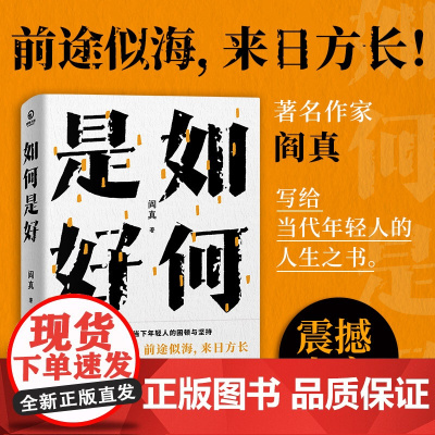 如何是好 阎真著 继沧浪之水全新力作阎真作品写给当代年轻人的人生之书