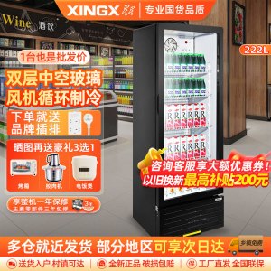 星星(XINGX)LSC-230FYP展示柜冷藏饮料柜一级能效单门立式冰柜商用保鲜冰箱风直冷超市便利店陈列柜啤酒水果柜