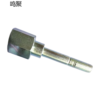 鸣聚 螺钉 BR600 个