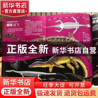 正版 PNSO海洋博物馆:蛇颈龙的秘密:The secrets of plesiosauria