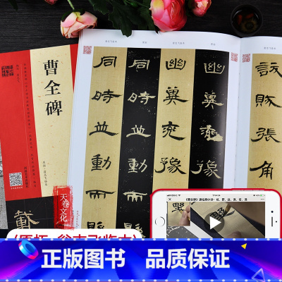 [正版]曹全碑 原拓翁志飞临本视频全覆盖 毛笔字帖入门 曹全碑隶书教程入门临摹 毛笔字帖水写布 毛笔书法书籍