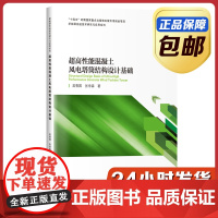[正版]超高性能混凝土风电塔筒结构设计基础 吴香国 张学森 哈尔滨工业大学出版社