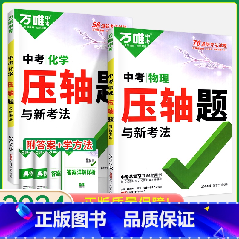 压轴题[物理+化学]2本 初中通用 [正版]2024数学压轴题全解析物理化学全国版专项训练初中数学函数几何模型辅助线初二