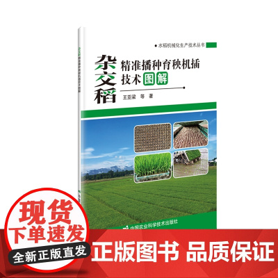 杂交稻精准播种育秧机插技术图解/水稻机械化生产技术丛书 王亚梁 编 9787511663610中国农业科学技术出版社
