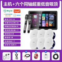 先科(SAST)智能AI家庭吸顶音响套装家用客厅无线蓝牙吊顶 智能K歌主机+6个6.5英寸超重低音同轴吸顶音响