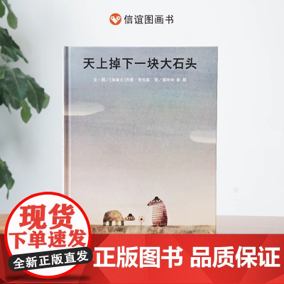 天上掉下一块大石头精装硬壳幼儿园绘本阅读儿童少儿图画书儿童故事培养0-6到8岁幼儿亲子睡前故事书小学课外宝宝早教书信谊正