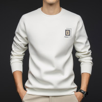秋冬季新款男士长袖圆领卫衣中青年男款潮流简约休闲套头打底衫