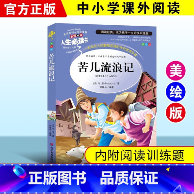 苦儿流浪记 [正版]绿野仙踪三四年级课外书必读老师的快乐读书吧木偶奇遇记二年级上册下册课外阅读书籍秘密花园绿山墙的安妮小