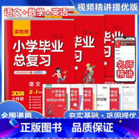 [3本套装]语文+数学+英语 小学升初中 [正版]2024版实验班小学毕业总复习语文数学英语小升初冲刺名校专项训练真题集