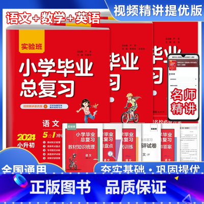[3本套装]语文+数学+英语 小学升初中 [正版]2024版实验班小学毕业总复习语文数学英语小升初冲刺名校专项训练真题集