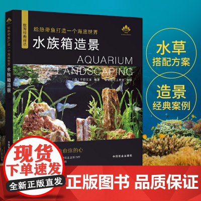 给热带鱼打造一个海底世界 水族箱造景从入门到精通水族箱鱼缸造景入门教程书时尚生活水草造景艺术栽培造景水草造景书水景制作