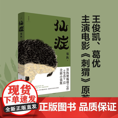 仙症小说 郑执著 葛优王俊凯主演顾长卫导演电影《刺猬》原著小说 顾长卫 中国文学小说作品集现代散文小说正版书