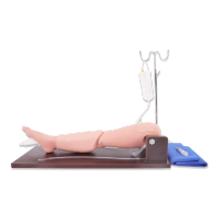 恒则卫勤 高级骨穿刺及股静脉穿刺模型成人骨穿刺练习静脉回流模型OF-L65