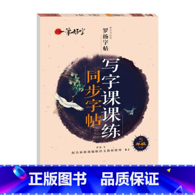 写字课课练同步字帖 5年级下册 [正版]罗扬字帖课堂笔记天天练练字帖人教版同步字帖一课一练硬笔钢笔临摹一二三四五六七八年
