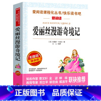 爱丽丝漫游奇境 [正版]城南旧事 林海音原著完整版名著儿童文学三四五六年级中小学生课外书籍老师骆驼的样子小英雄雨来宝葫芦