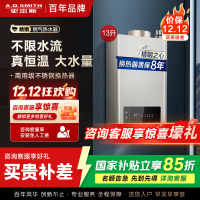 AO史密斯 13升燃气热水器 不锈钢换热器8年包换 负压燃烧更安全 精控恒温 家用5系列