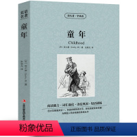[中英互译]童年 [正版]中英双语金银岛书中英文双语名著读物英汉对照互译小说 斯蒂文森原著 读名著学英语 高中生初中生课