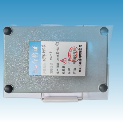 WJ 绝缘电阻表 ZC-8 个