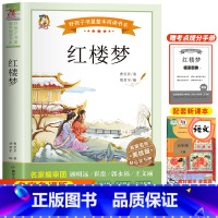 红楼梦 [正版]四大名着原着小学生版五年级下册必读课外书文学经典书籍西游记三国演义水浒传红楼梦中国四大名着青少年版五下快