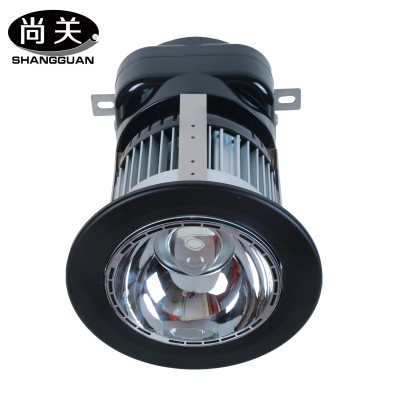 尚关(SHANGGUAN) LED智能型升降灯SQ-Z44G 100W 套