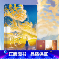 [正版]赠主题明信片×3我要逆风去 未再 龚俊 钟楚曦 吴宣仪 高至霆主演电视剧原著小说怪你过分美丽无删减青春小说图书