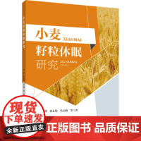 正版 小麦籽粒休眠研究 杨燕 孙永伟 冯玉梅主编 中国农业大学出版社店9787565532146