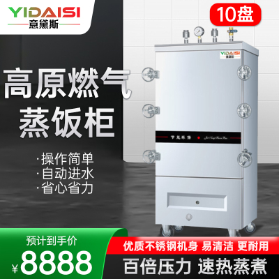意黛斯(YIDAISI)高原燃气蒸柜YDS-GYRX-10商用蒸饭柜食堂厨房电蒸箱蒸包炉燃气蒸饭车10盘 天然气/液化气