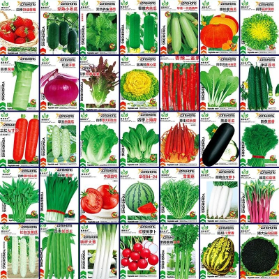 [补贴10%]蔬菜种子四季播种阳台农家盆栽香菜菠菜生菜韭菜小葱草莓籽孑大全