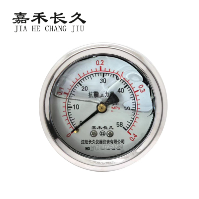 嘉禾长久 耐震压力表轴向检测定制型 YTN60Z 块