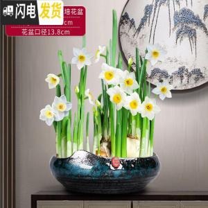 三维工匠新中式禅意铜钱水仙花专用水培花盆载植物好养创意陶瓷室内个 翡翠惊涛骇浪(小)水培花盆(不含水仙) 20-花盆容器