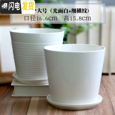 三维工匠白色陶瓷花盆带托盘大号个性创意多肉室内家用吊兰绿萝盆 两个大号(光面白+细横纹) 大花盆容器