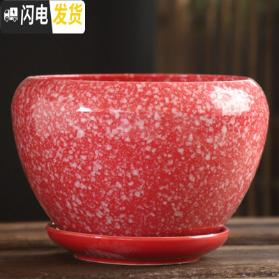 三维工匠花盆陶瓷大号特大托盘创意绿萝简约家用吊兰个性多肉花盆 S1苹果雪花红点单个 中等花盆容器