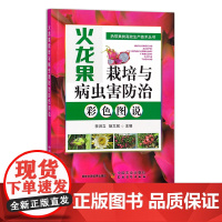 火龙果栽培与病虫害防治彩色图说 热带果树高效生产技术丛书 30627
