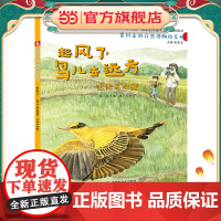 带回家的自然博物馆系列:起风了,鸟儿去远方--迁徙鸟观察