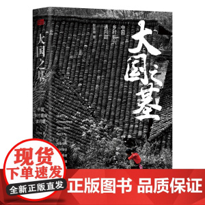 大国之基:中国乡村振兴诸问题