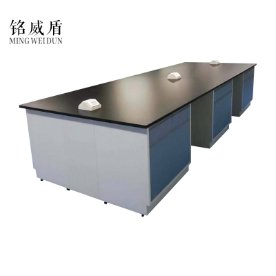 铭威盾全钢实验台钢木PP边台柜试验台化验室工作台实验室桌操作台定制(每米单价)