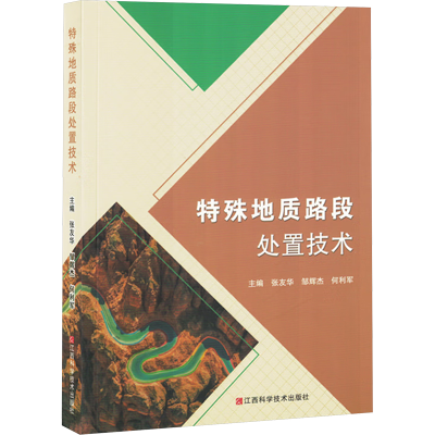 正版新书]特殊地质路段处置技术张友华,邹辉杰,何利军 编9787539